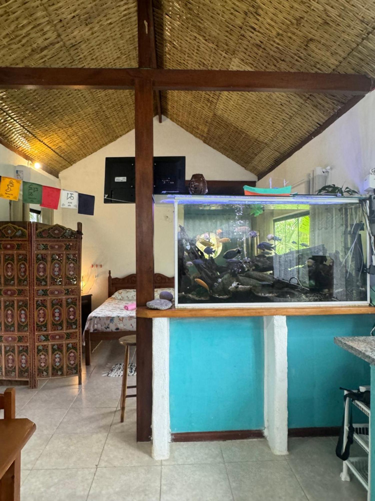 פאראטי Casa Da Floresta Pico Da Aguia מראה חיצוני תמונה